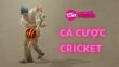 cá cược Cricket